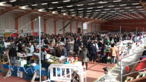 Senftenberg Frühjahr 2018